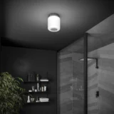 0710 Rhythm Ceiling Light